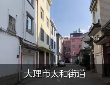 大理市太和街道